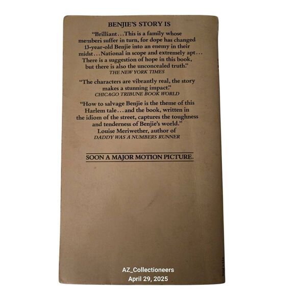 A hero ain't nothing but a sandwich by Richard Childress - avon books - 38020220 - Picture 3 of 5